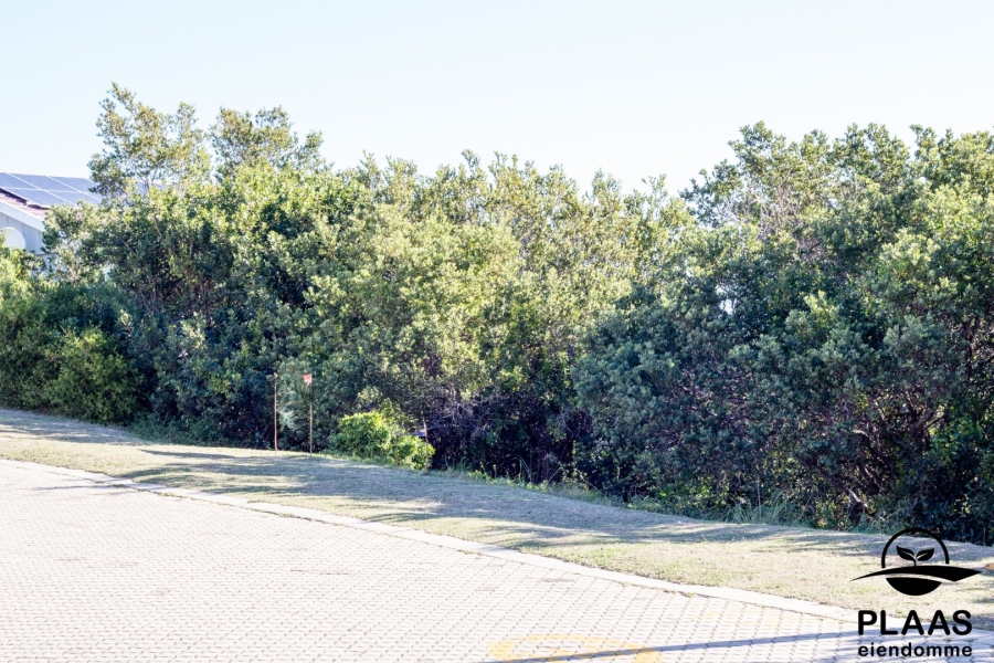  Bedroom Property for Sale in Bergsig Western Cape
